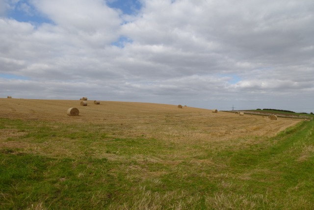 Bales in a field