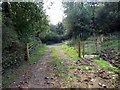 Llwybr Blaenau Path