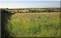 Field by Cumble Tor Lane