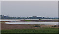 ST2745 : Steart Marshes Project , first flooding by Martin Southwood