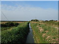 Drainage Ditch off Grunty Fen Road, Witchford