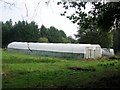 Nursery, Highlands Wood