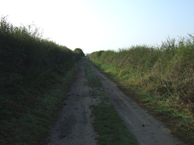 Green lane towards Thornholme 