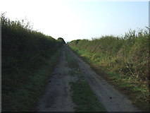 TA1164 : Green lane towards Thornholme  by JThomas
