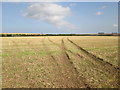 Tracks  in  an  empty  stubble  field