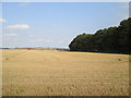 Stubble  field  and  trees  around  covered  Reservoir