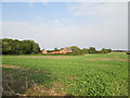 Over  field  to  Beswick  Mill