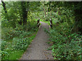 Private path along Cranleigh Waters