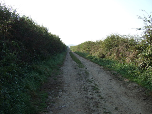 Green lane over Thornholme Field 