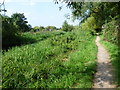 Path alongside The Duke of Northumberland River