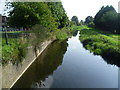 The Duke of Northumberland River at The Two Bridges