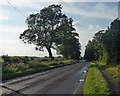 Country road near Stoke Goldington