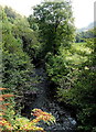 Afon Garw, Tylagwyn