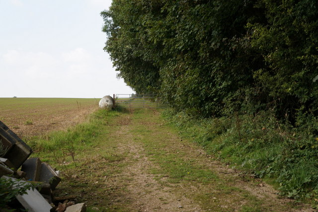 The Avenue (track) towards College Farm