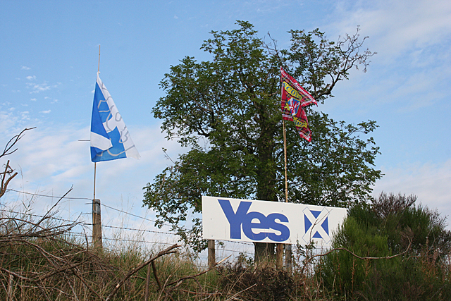 Yes Campaign Sign
