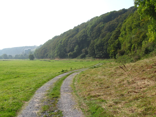 Bridle way at the edge of the marsh