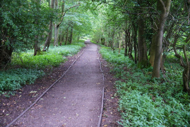 Path in Buber Wood