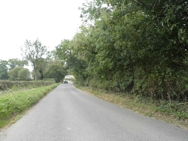 Wildhill Road