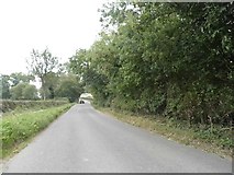 TL2506 : Wildhill Road by David Howard