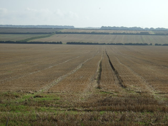 Stubble field, East Field