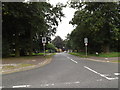 TG1908 : Cunningham Road, Earlham Norwich by Geographer