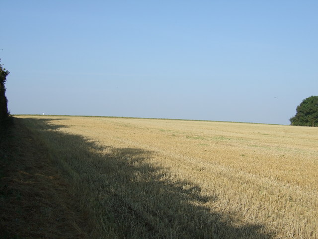 Farmland off Woldgate Roman Road