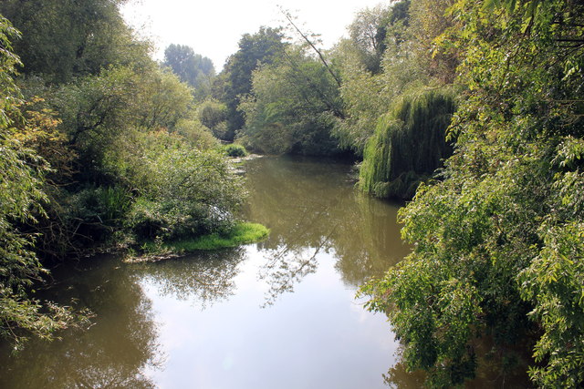The River Tern at Attingham Park