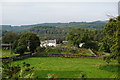 View From Nature Wood, Forest How