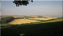SX8142 : Farmland near Widewell by Derek Harper
