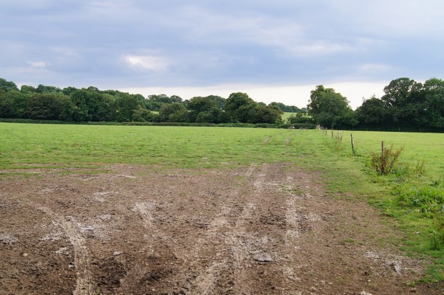 Field off Berrydown Lane