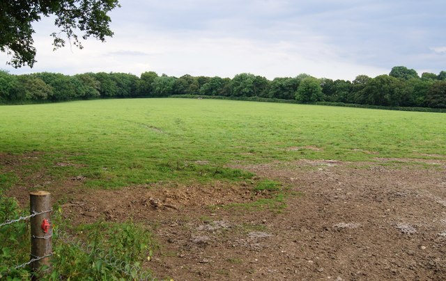 An empty field