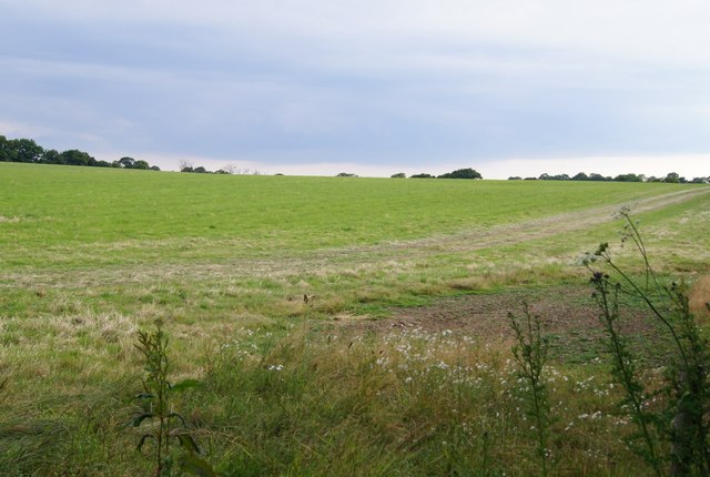 Fields by Waltham Lane