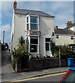 Mallard, Mumbles, Swansea