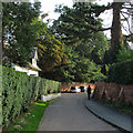 Ruddington: a bend in Vicarage Lane