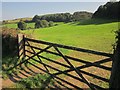 Field near Stokenham