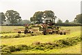 Late Silage