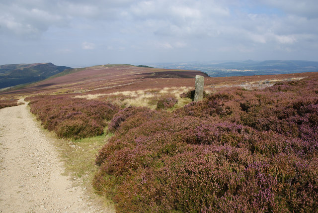 Boundary stone by the Cleveland Way