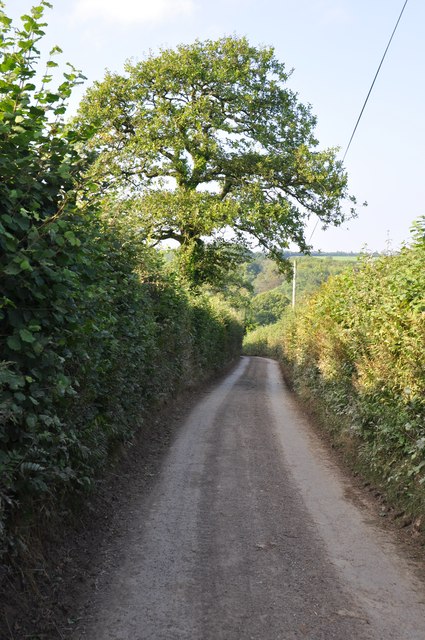 Mid Devon : Country Lane