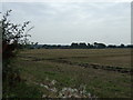 SJ4487 : Farmland off Gerrard's Lane by JThomas