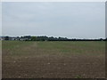 Farmland off Greensbridge Lane