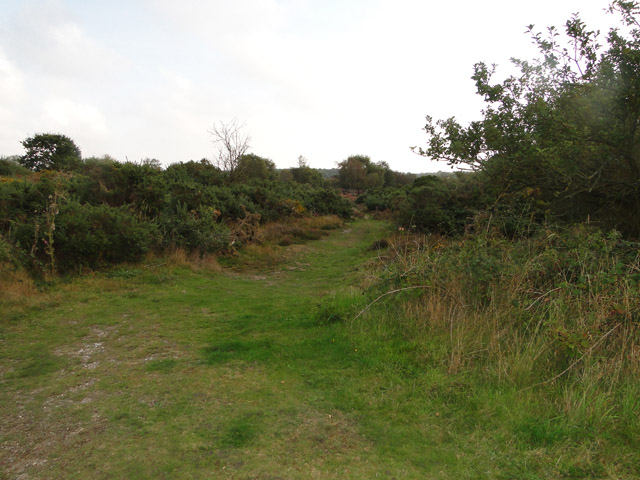 Westleton Heath © Adrian S Pye :: Geograph Britain and Ireland