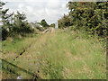 The northern line at Sizewell Crossing