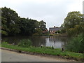 Pond off Seething Road