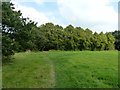 Footpath towards church, Bisley