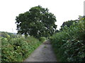 Farm track (bridleway) off Crank Road