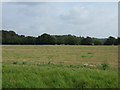 Farmland east of Crank Road