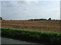 Farmland off Crank Road (B5201)