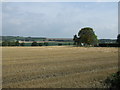 Stubble Field, Guild Hall