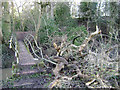 SP3069 : Footbridge balustrade damaged by a falling tree below Hill Wootton near Warwick by Robin Stott