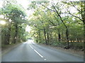 Bookhurst Road, Ewhurst